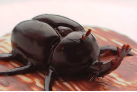 [Image: beetle-cake.jpg]